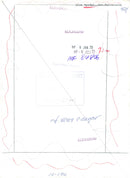 Politician Alva Myrdal - Vintage Photograph