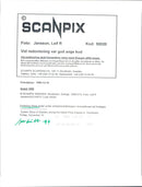 Queen Silvia at the Nobel Prize ceremony in the Concert Hall - Vintage Photograph