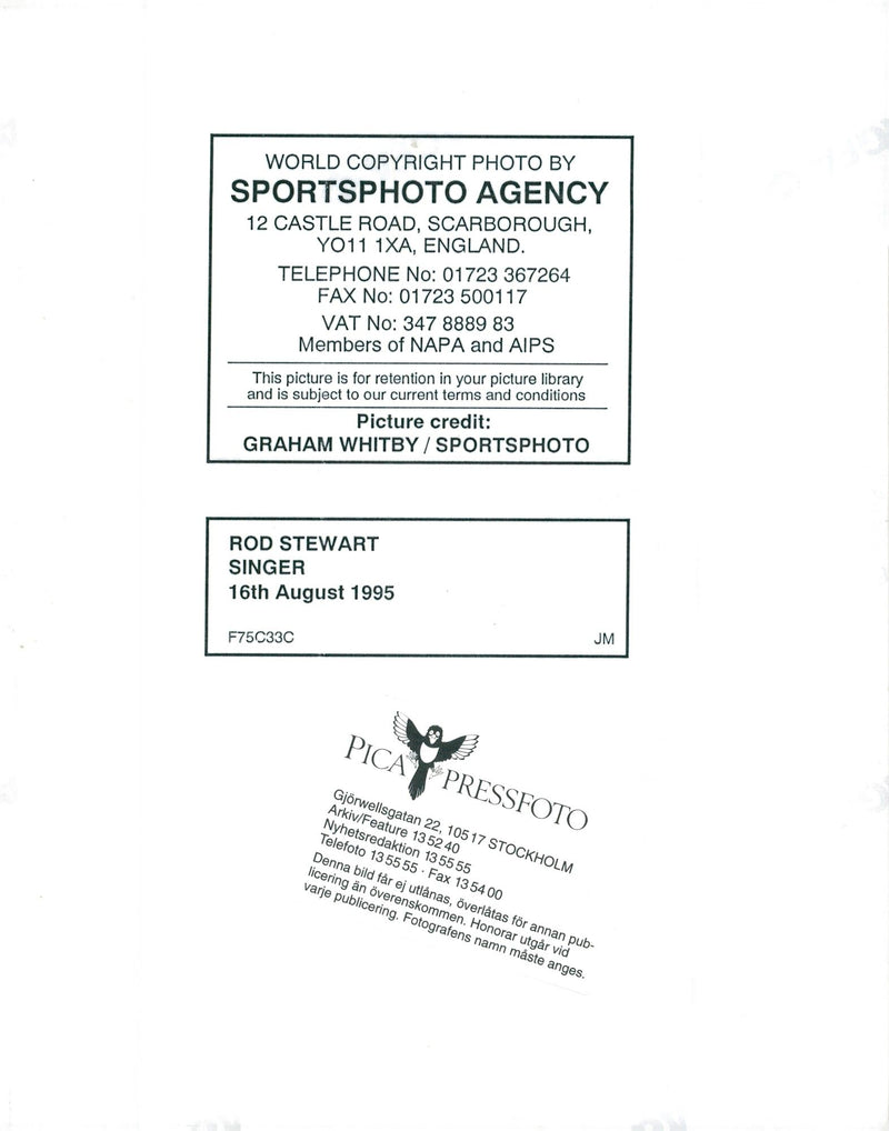 Rod Stewart, British rock singer - Vintage Photograph