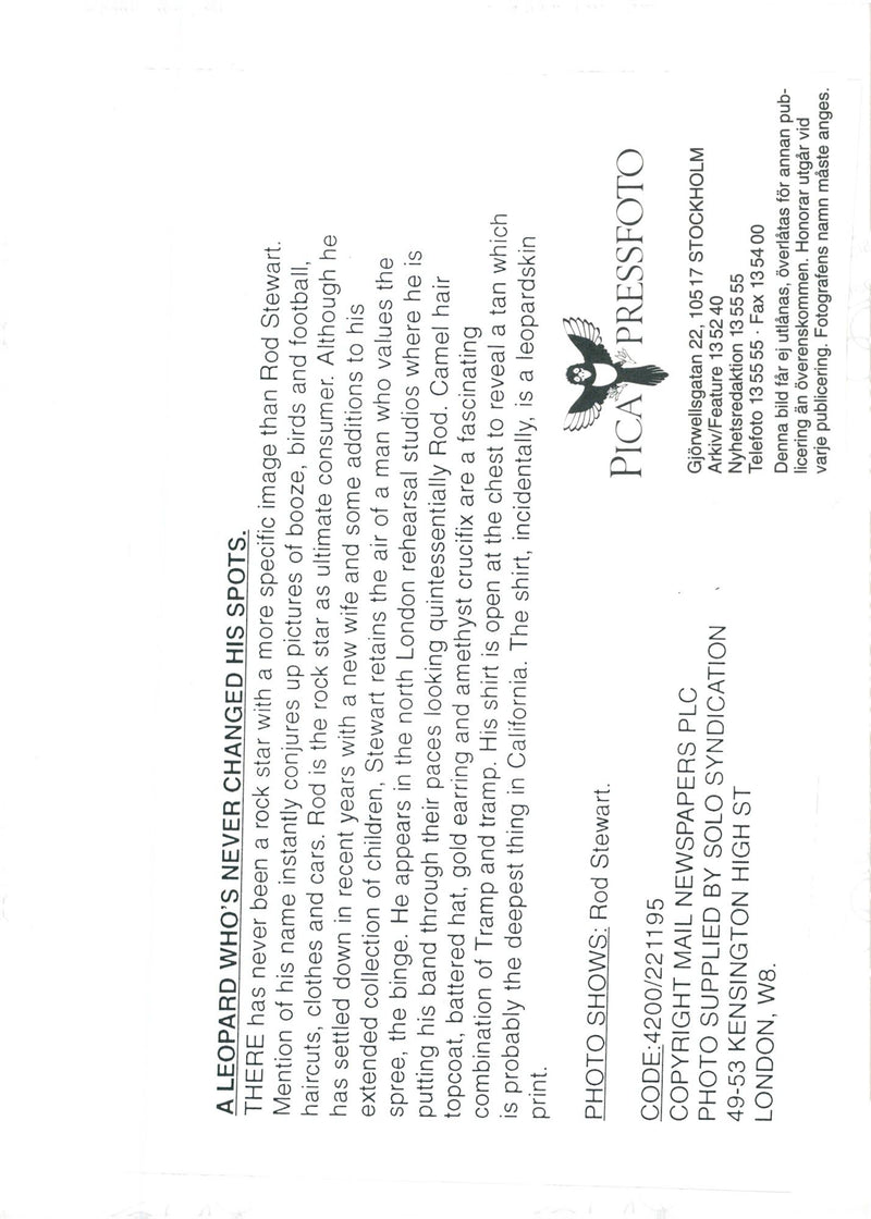 Rod Stewart, rock singer - Vintage Photograph