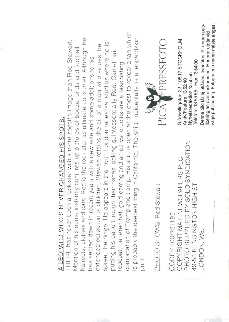 Rod Stewart, rock singer - Vintage Photograph