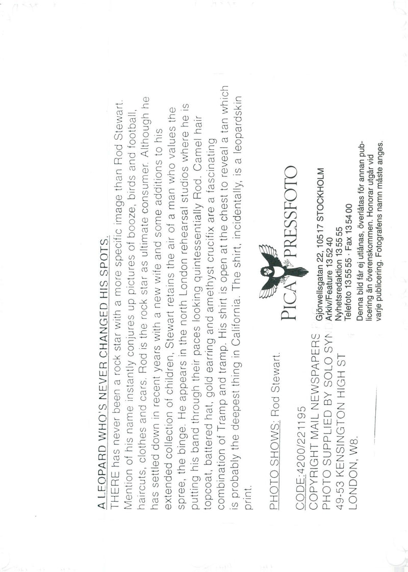 Rod Stewart, British rock singer - Vintage Photograph