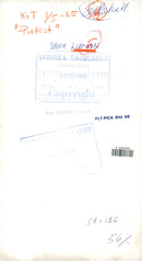 Sara Lidman participates in a demonstration - Vintage Photograph