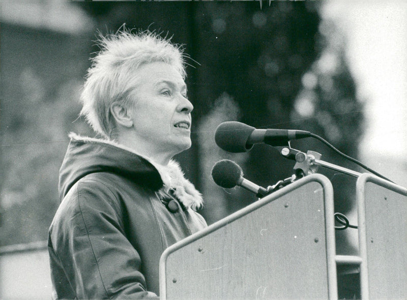 Sara Lidman speaks during a peace demonstration in KungstrÃ¤dgÃ¥rden - Vintage Photograph