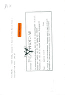 Ringo Starr on stage - Vintage Photograph