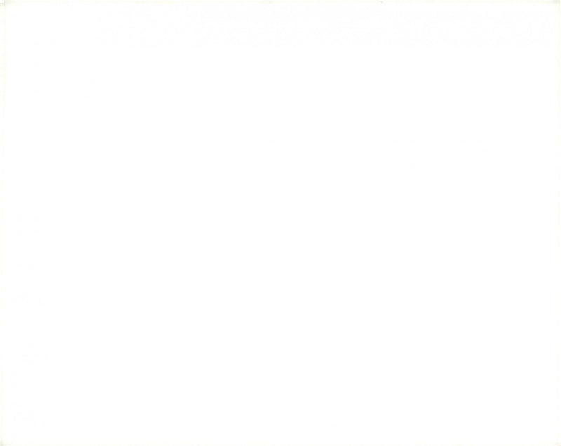 Rock musician Lou Reed - Vintage Photograph