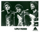 Rock musician Lou Reed - Vintage Photograph