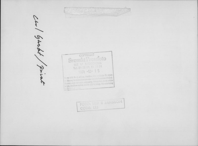 King Carl Gustaf with his dogs and little Prince Carl Philip at home - Vintage Photograph