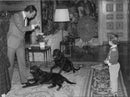 King Carl Gustaf with his dogs and little Prince Carl Philip at home - Vintage Photograph