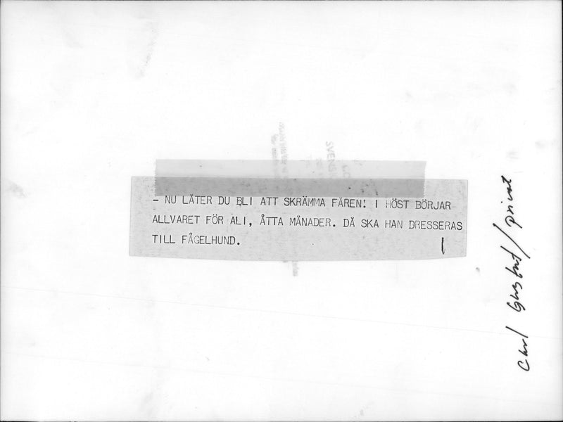 King Carl Gustaf with the dog Ali - Vintage Photograph