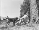 King Carl Gustaf with the dog Ali - Vintage Photograph