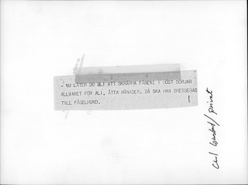 King Carl Gustaf with the dog Ali - Vintage Photograph