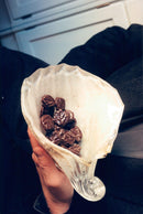 Royal expedition at Stockholm Castle - chocolate pralines in a bowl - Vintage Photograph