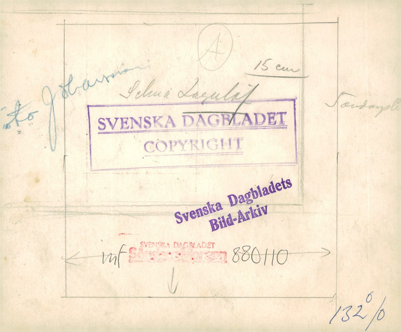 Selma LagerlÃ¶f reads book - Vintage Photograph