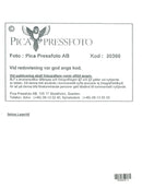 Selma Lagerlöf - Vintage Photograph