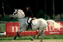 Charlotte Casiraghi at a jump competition in Lummen - Vintage Photograph