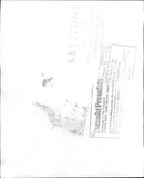 The English King Family. Prince Philip, Prince Edward, Prince Charles, Prince Andrew, Queen Elizabeth, Peter Phillips and Princess Anne - Vintage Photograph