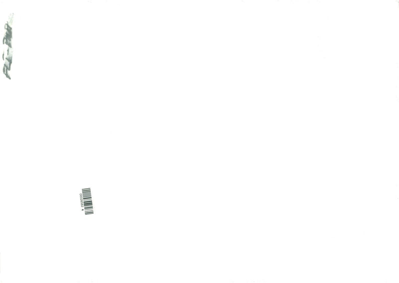 Pavarotti with Stevie Wonder - Vintage Photograph