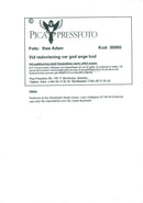 Liam Gallanger under the rock band Oasis concert in Globen. - Vintage Photograph