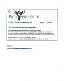 Rock group Oasis member, Liam Gallanger. - Vintage Photograph