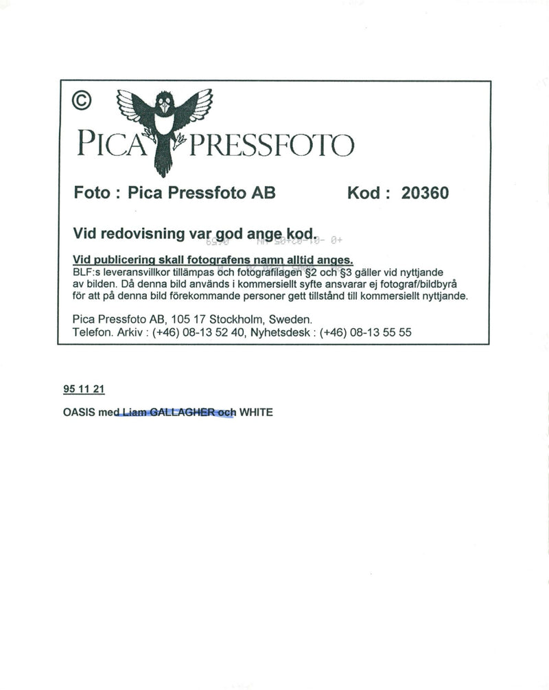 Rock group Oasis member, Liam Gallanger. - Vintage Photograph