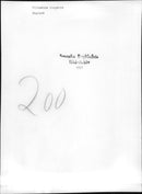 Prince Richard, Duke of Gloucester - Vintage Photograph