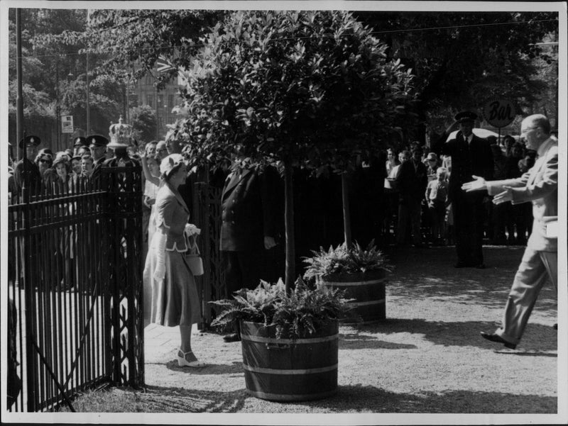 Queen Elizabeth II during Olympic opening - Vintage Photograph