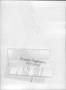 Queen Modern with Prince Charles and Princess Anne and Prince Andrew - Vintage Photograph