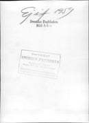 Queen Elizabeth II on the road to galley to the state opening of parliament - Vintage Photograph