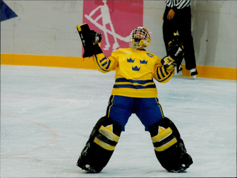 Olympic Games in Lillehammer - Ice Hockey. Sweden - Canada, Tommy Salo commends the victory - Vintage Photograph