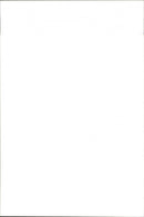 OS Basketball: Zheng Haixia th - Vintage Photograph