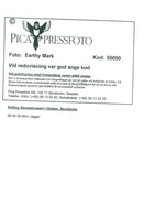 The Rolling Stones appear in the Globe: Mick Jagger - Vintage Photograph