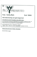 The Rolling Stones appear in the Globe: Mick Jagger - Vintage Photograph