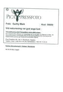 Rolling Stoneskonsert i Globen Stockholm - Vintage Photograph