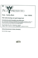 Mick Jagger during The Rolling Stones concert in Globen - Vintage Photograph