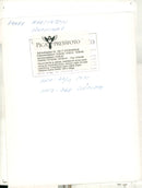 The author Harry Martinson together with his wife Ingrid - Vintage Photograph