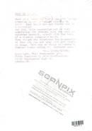 Cher on stage - Vintage Photograph