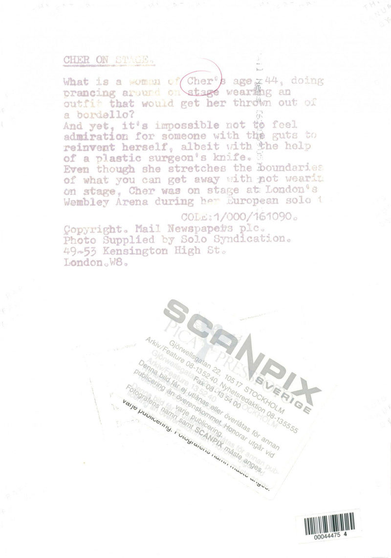 Cher on stage - Vintage Photograph