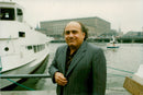 Portrait of actor Danny Devito - Vintage Photograph
