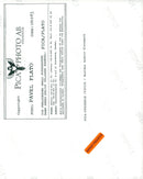 Anders Glenmark, musician - Vintage Photograph