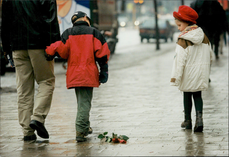 A little boy leaves a rose on the 10th anniversary of the Palm Murder. - Vintage Photograph