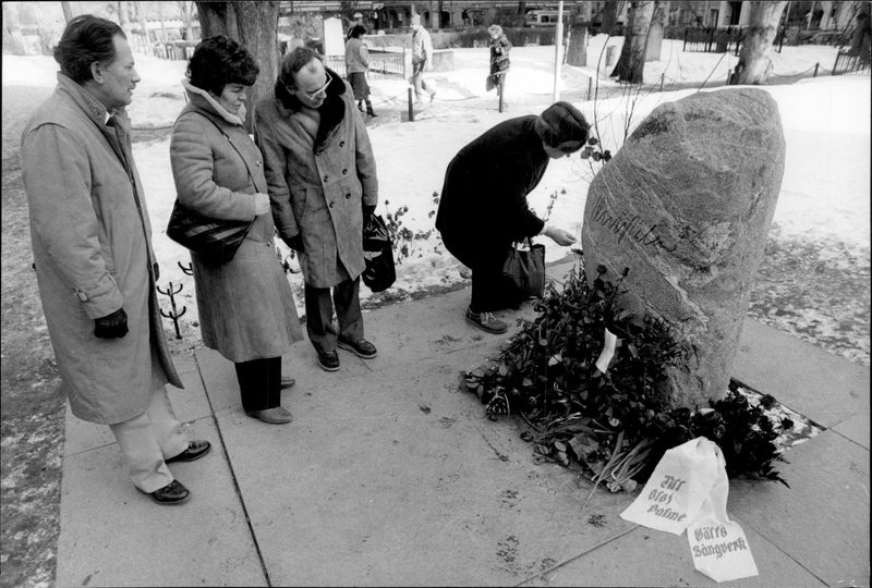 Many passed Olof Palmes tombstone and left a rose 1 year after the murder. - Vintage Photograph