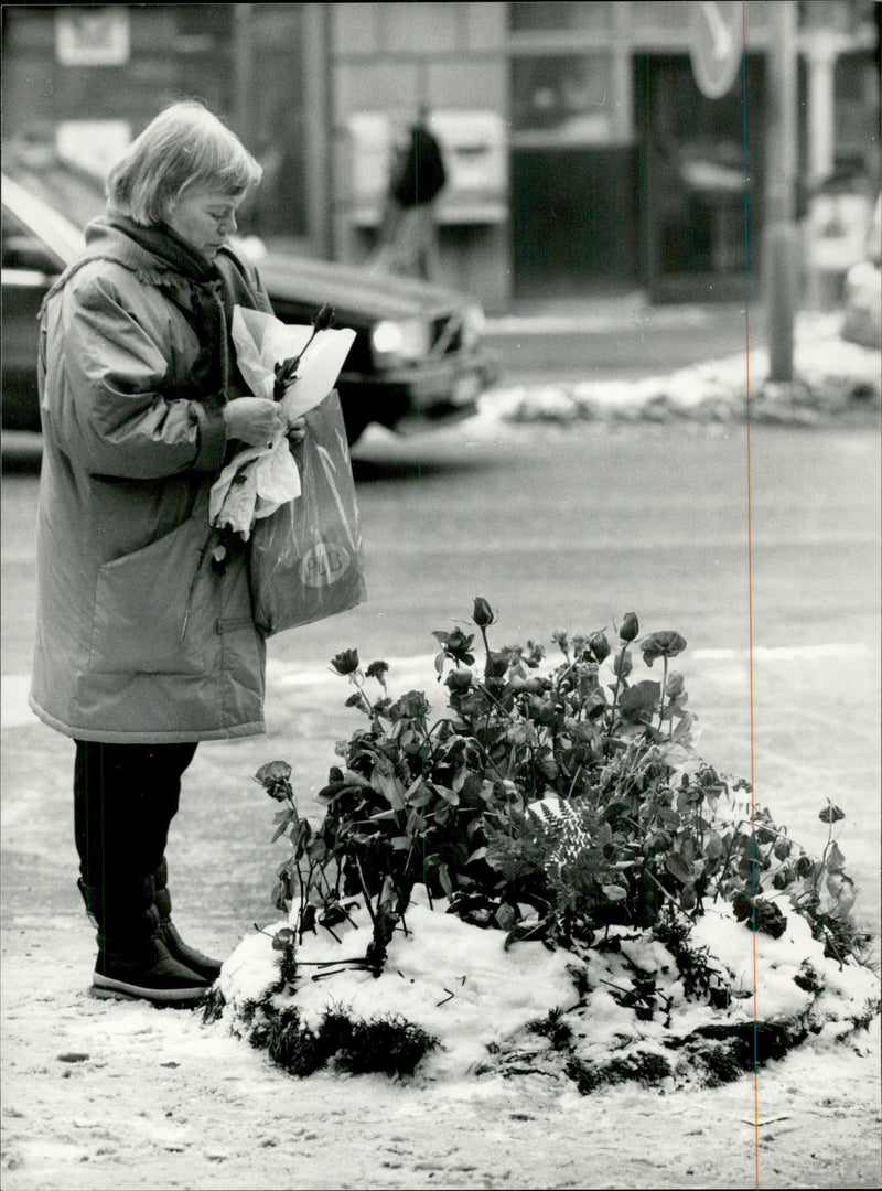 2th anniversary of the murder of Olof Palme - Vintage Photograph