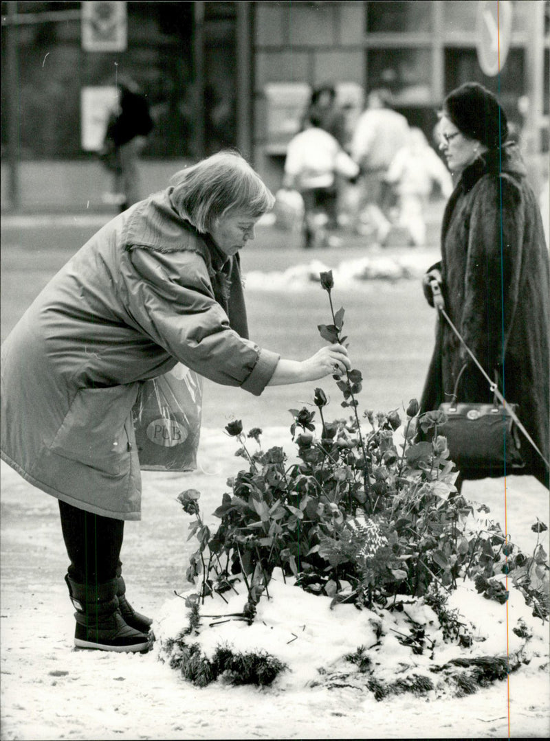 2th anniversary of the murder of Olof Palme - Vintage Photograph