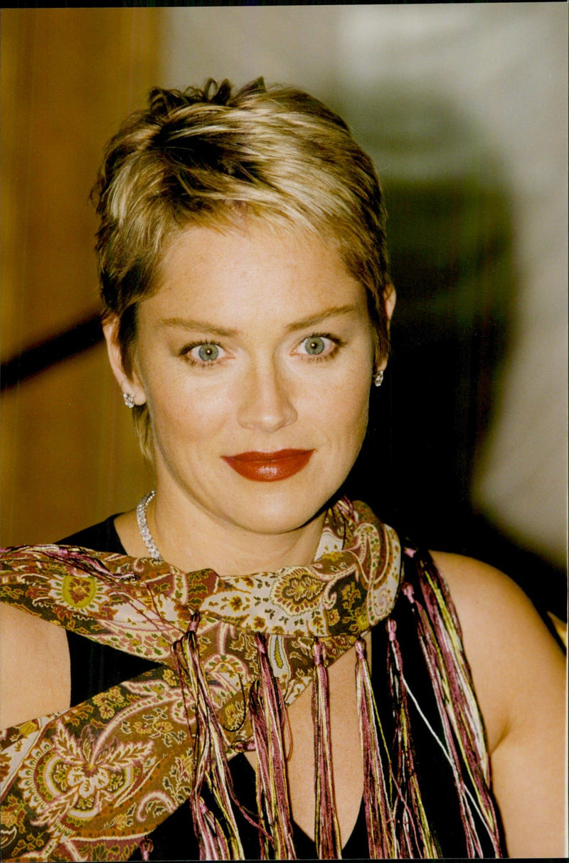 Sharon Stone is in Paris to promote her new movie &quot;Sphere - The Boat&quot; and is seen here posing for the photographers at the Ritz Hotel - Vintage Photograph