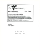 American writer James Ellroy - Vintage Photograph