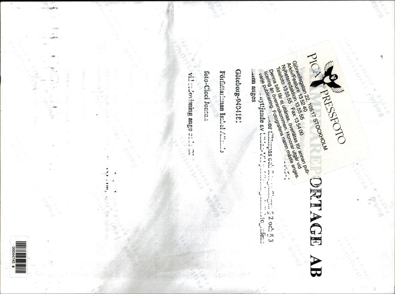 Chilean writer Isabel Allende - Vintage Photograph