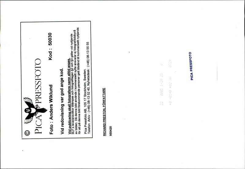 American writer Richard Preston is sitting in a tree - Vintage Photograph