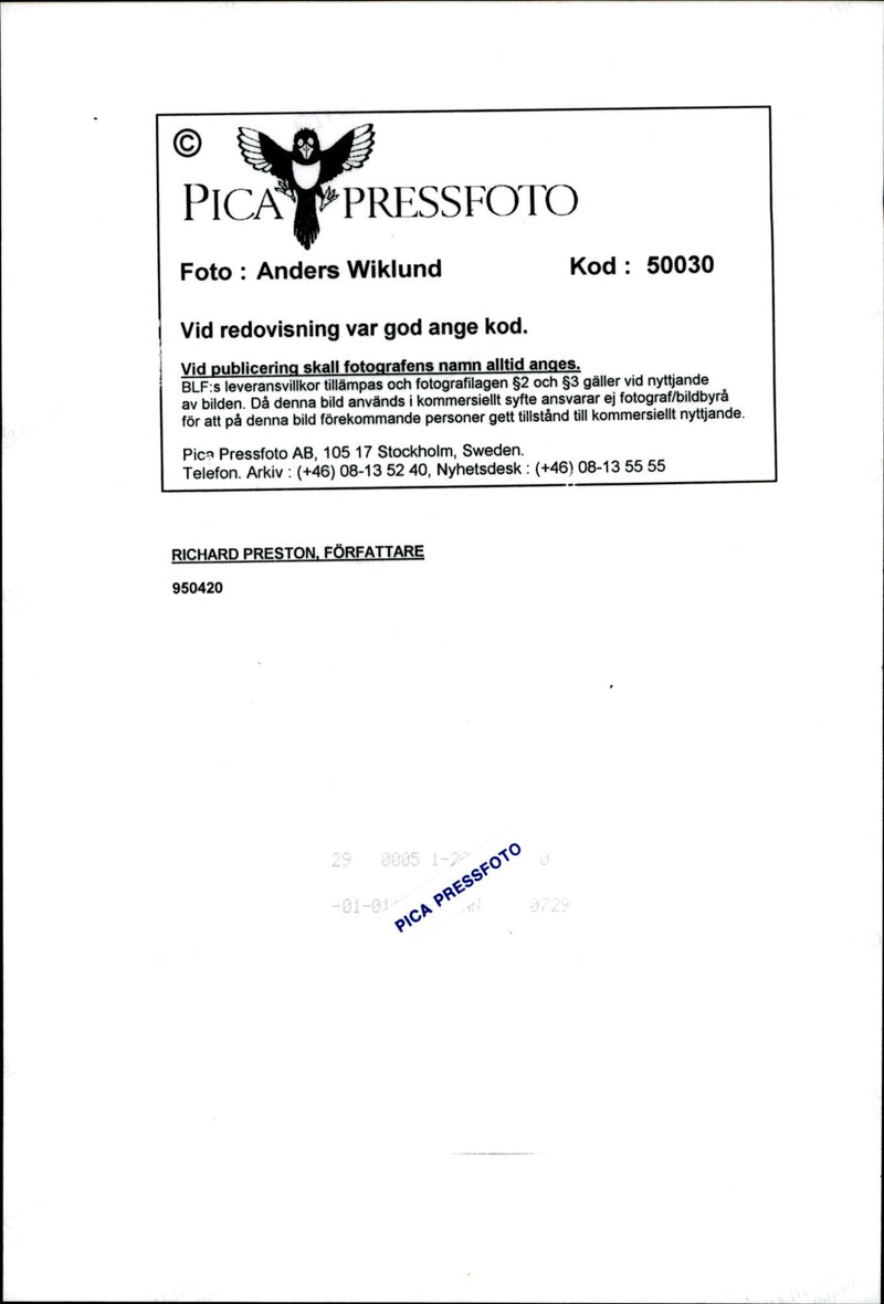 American writer Richard Preston is sitting in a tree - Vintage Photograph