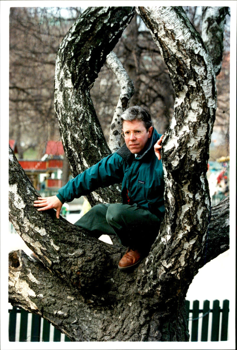 American writer Richard Preston is sitting in a tree - Vintage Photograph